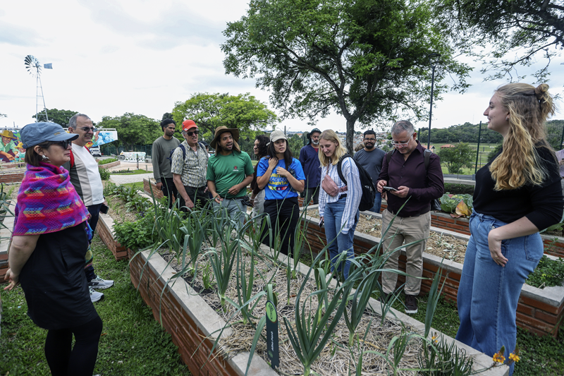 Fazendas urbanas do Cajuru e da CIC oferecem cursos gratuitos sobre plantio e colheita em fevereiro