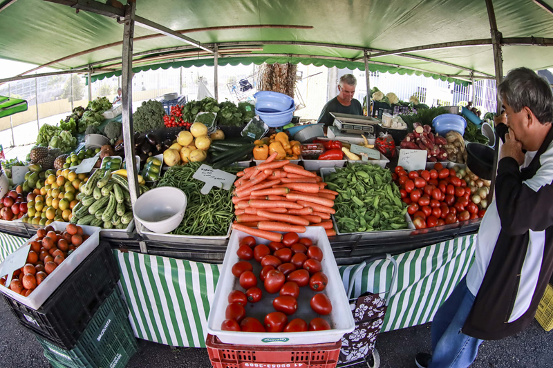 Sine móvel em Curitiba oferece oportunidades de emprego nesta semana