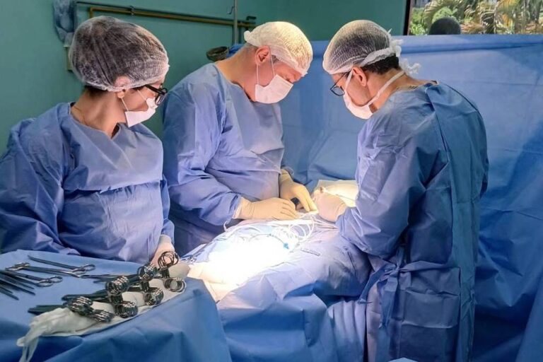 Brasil e França unem esforços para ampliar analgesia no parto e reduzir cesáreas