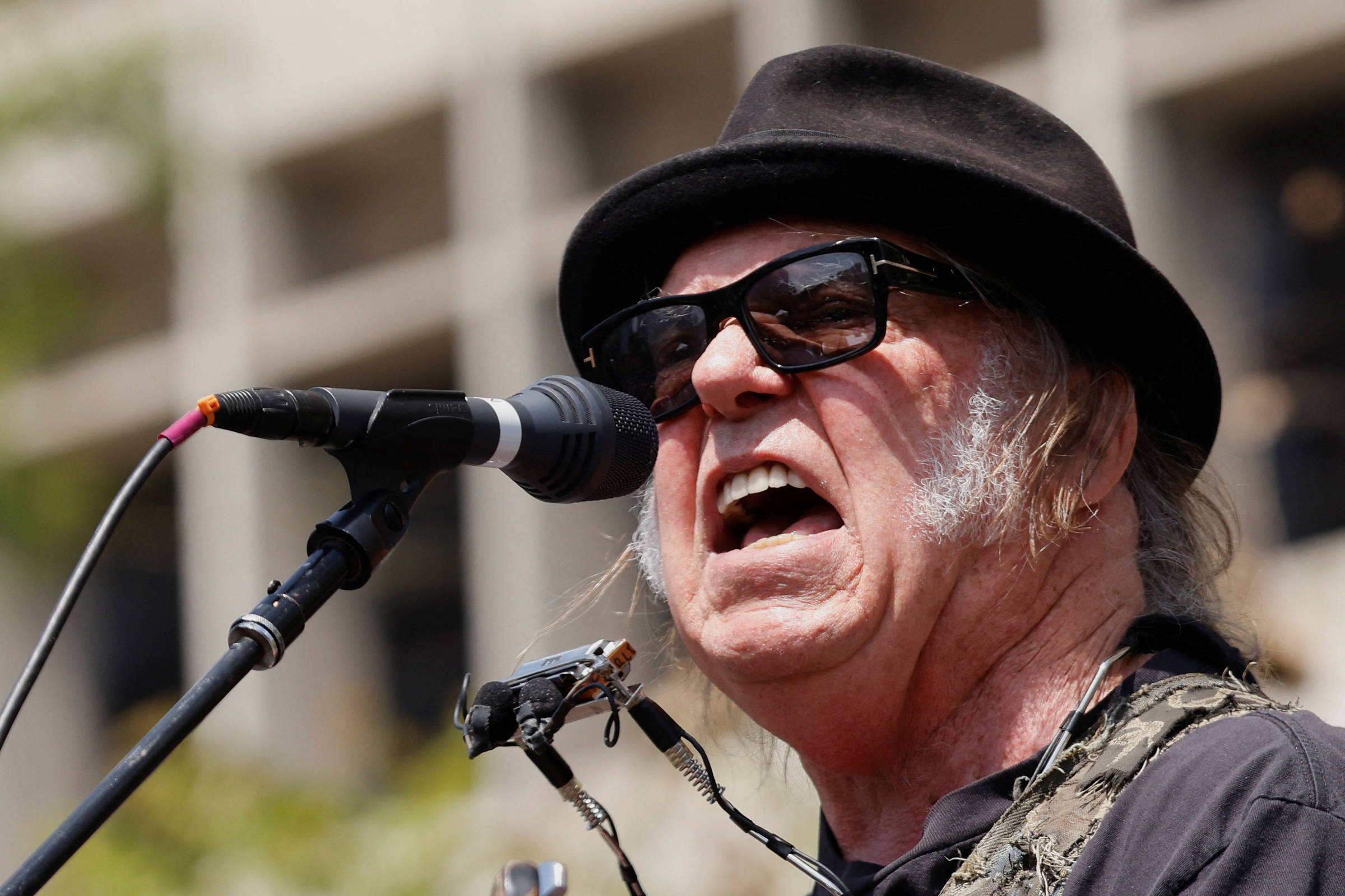 Neil Young retira músicas da Amazon e libera acervo para Groenlândia