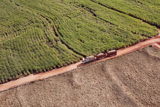 Colheita de soja avança 14% e feijão e cana-de-açúcar mostram alta produtividade no Paraná
