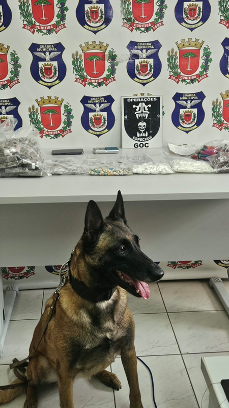 Guarda Municipal apreende drogas na Vila Guaíra em operação com cães