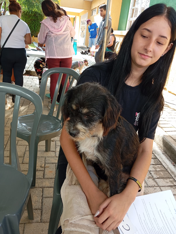 Projeto Ajudei em Ação promove castração de 400 cães e gatos no Caximba