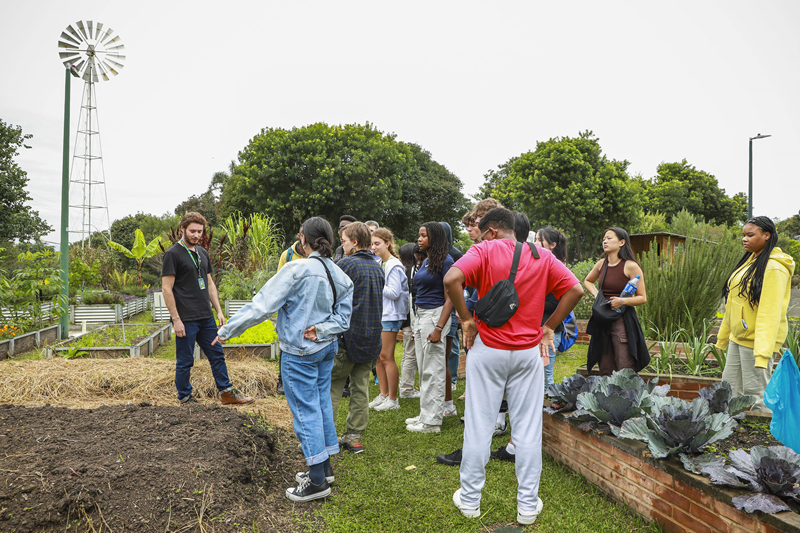 Fazendas Urbanas promovem cursos gratuitos e visitas guiadas em março