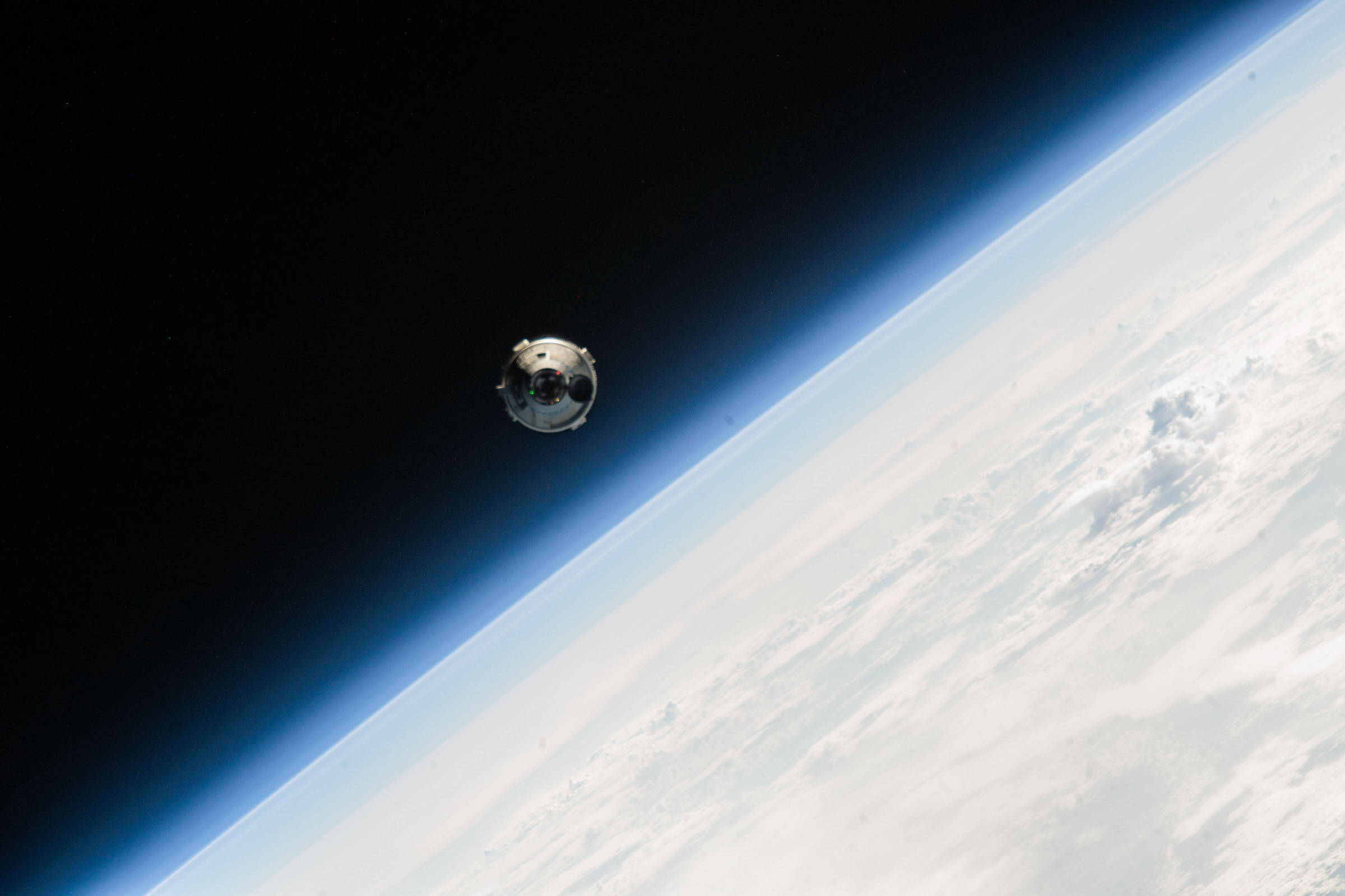 Curitiba inicia entrega de 10 mil mudas de árvores na última semana de fevereiro