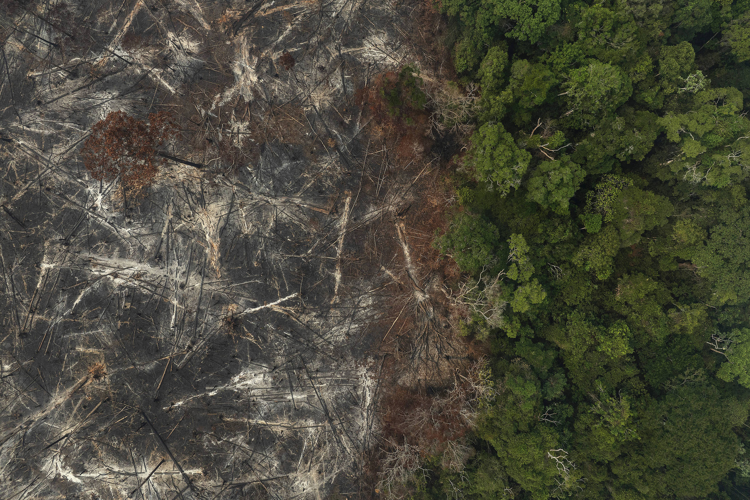 Plano clima enfrenta atrasos e pendências 50 dias após anúncio do governo Lula