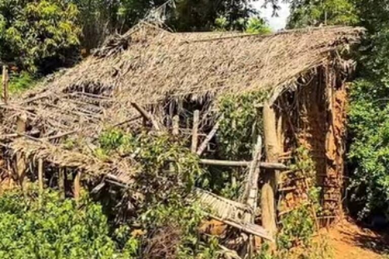 Buscas por irmãos desaparecidos no Maranhão focam investigação policial