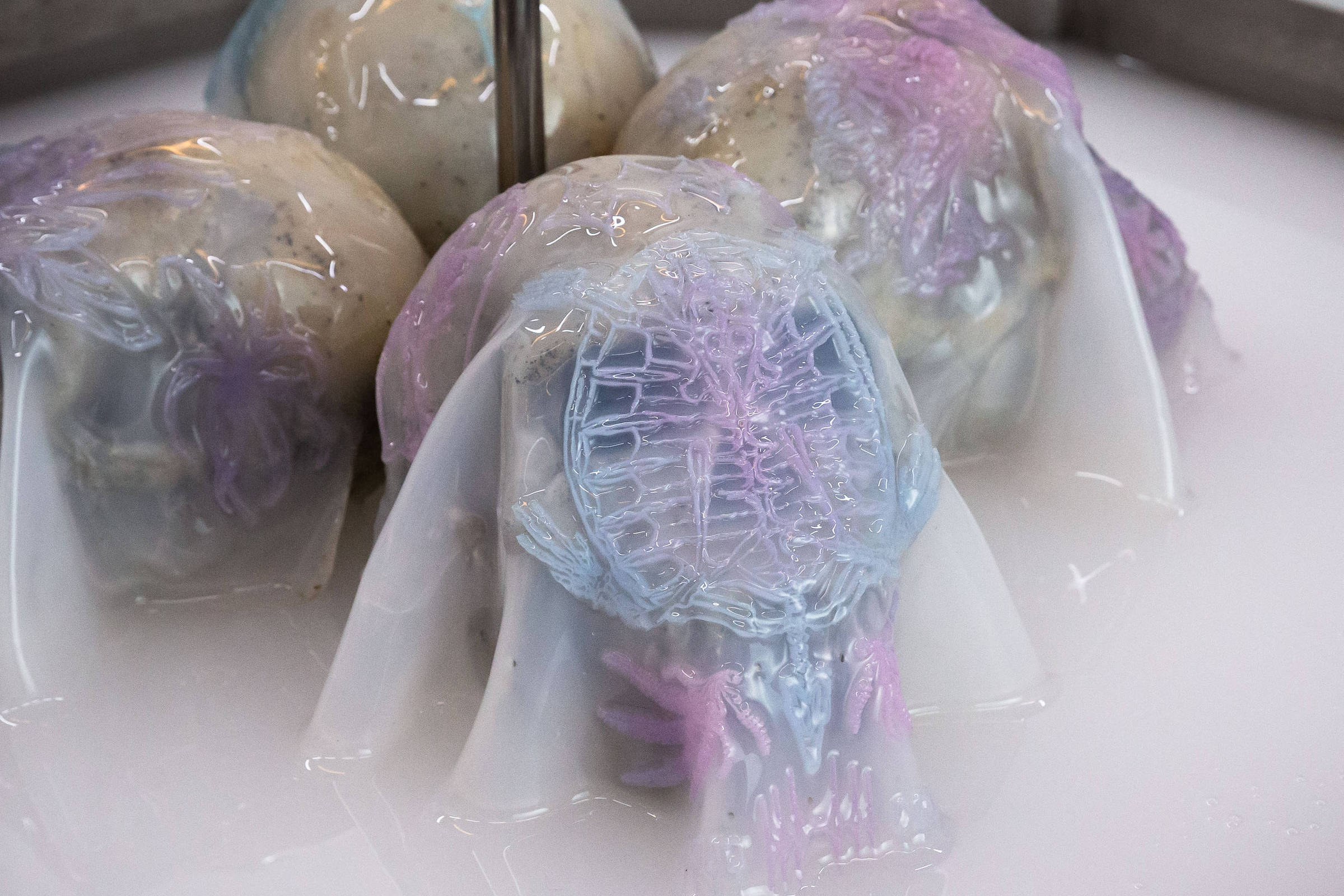 Nova bienal de arte em Goiânia destaca o agro além do pop
