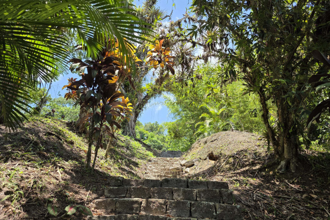 Verão maior Paraná promove oficina de restauração ecológica no Parque do Palmito