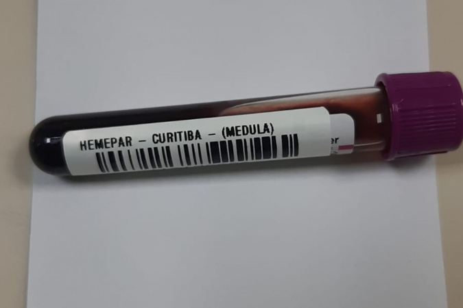 fevereiro laranja reforça importância do diagnóstico precoce da leucemia