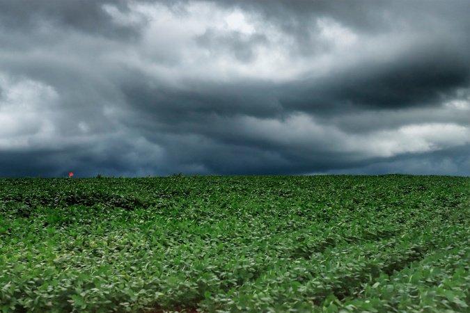 Tempestades fortes atingem Campos Gerais e Norte do Paraná nesta sexta-feira