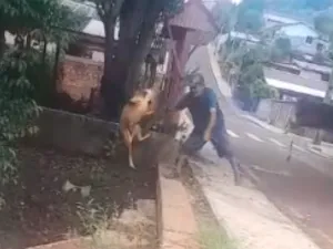 Homem preso após arremessar cachorro em córrego em Pato Branco