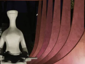 Supremo adia combate a penduricalhos e cria grupo para transição