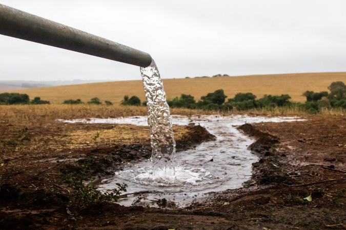 Dia mundial da água mobiliza plantio de mudas e limpeza de rios no Paraná