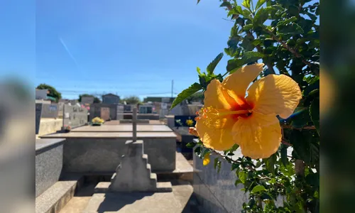 falecimentos em apucarana com velórios e sepultamentos anunciados