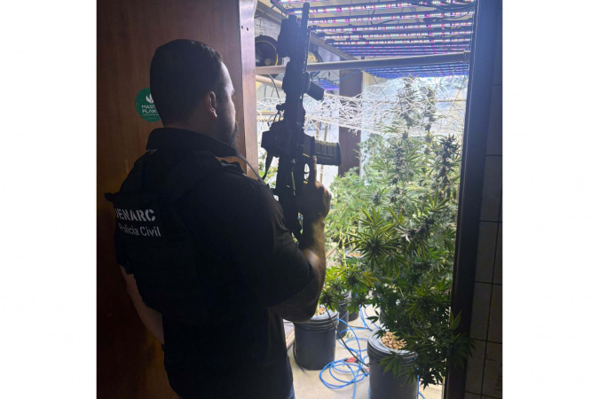 PCPR desmantela laboratório de cultivo de maconha em Curitiba