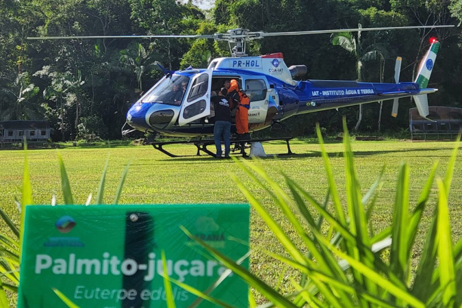 IAT dispersa 700 mil sementes de palmito-juçara para restaurar a Mata Atlântica no litoral