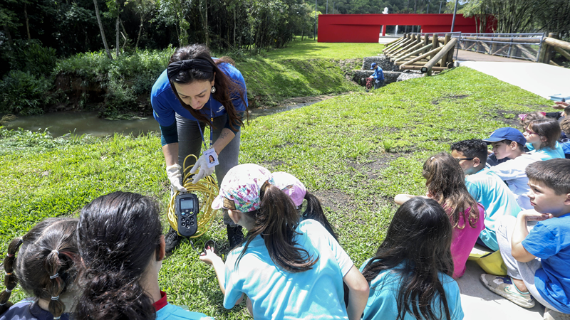 Curitiba garantida no fundo global para projetos climáticos juvenis