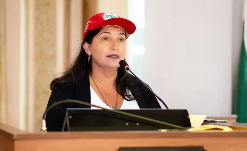 Câmara de Curitiba pressiona para cassar mandato da vereadora Professora Angela
