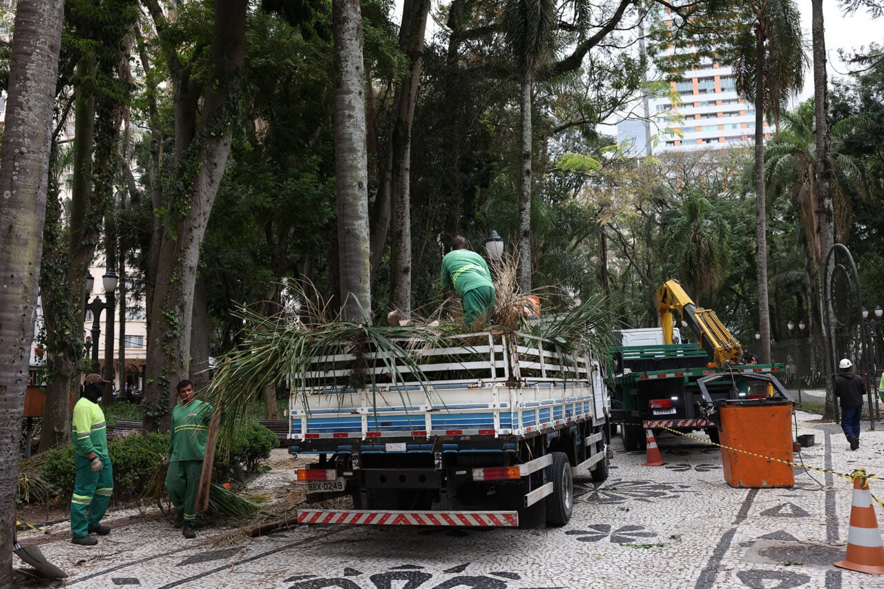 Curitiba derruba 2,8 mil árvores mortas e sob risco desde 2022