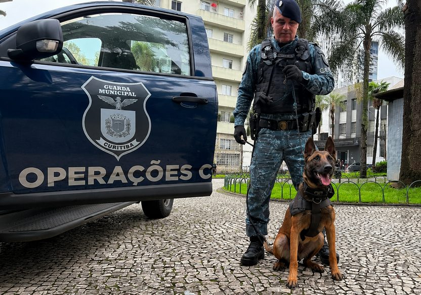 Cadela Surya expõe tráfico e reforça combate da Guarda em Curitiba