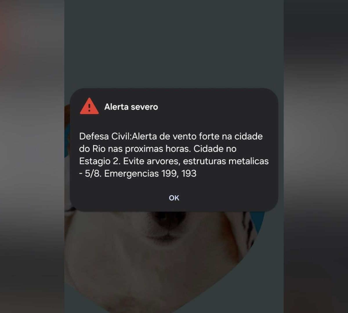 Defesa Civil emite alerta severo de ventos fortes no Rio após vendaval fatal
