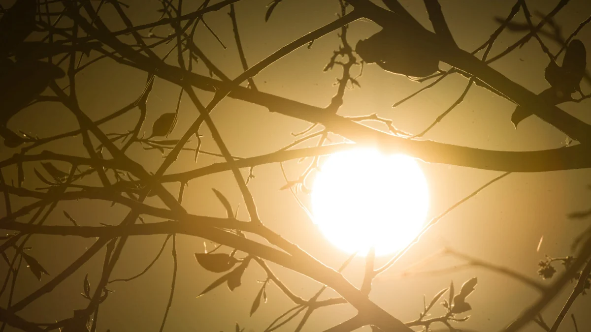 Calor de 43°C força Cuiabá a transferir desfile de 7 de Setembro para a noite