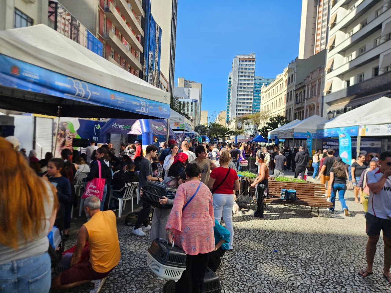 Domingo no Centro: Curitiba valoriza convivência e cuidados com pets