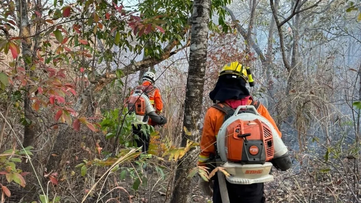Incêndio avança e devasta 14 mil hectares próximo à Serra Dourada em Goiás