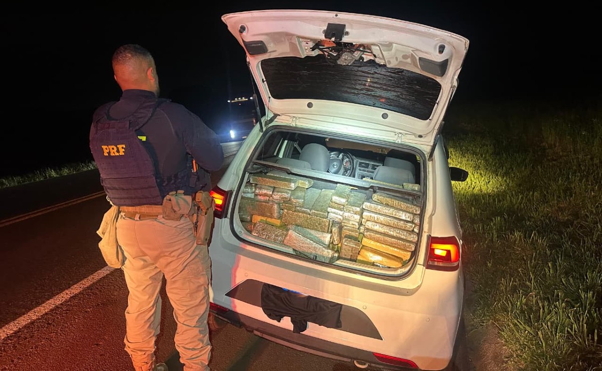 Motorista abandona quase 300 kg de maconha após fuga arriscada na BR-277