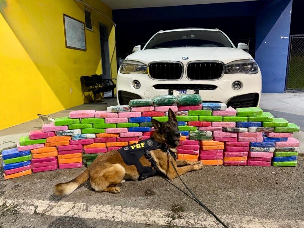 PRF apreende 136 kg de cocaína em BMW na BR-277, Balsa Nova