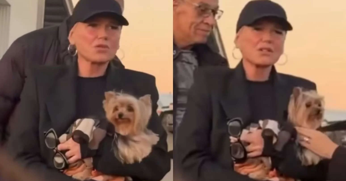 Xuxa desembarca em Curitiba e reage a susto com cadelinha