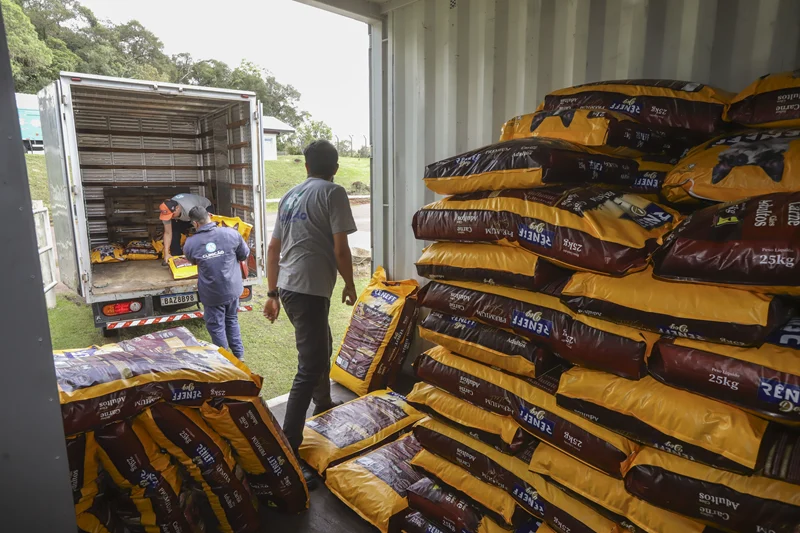 Curitiba distribui 6,5 toneladas de ração para ONGs e famílias vulneráveis