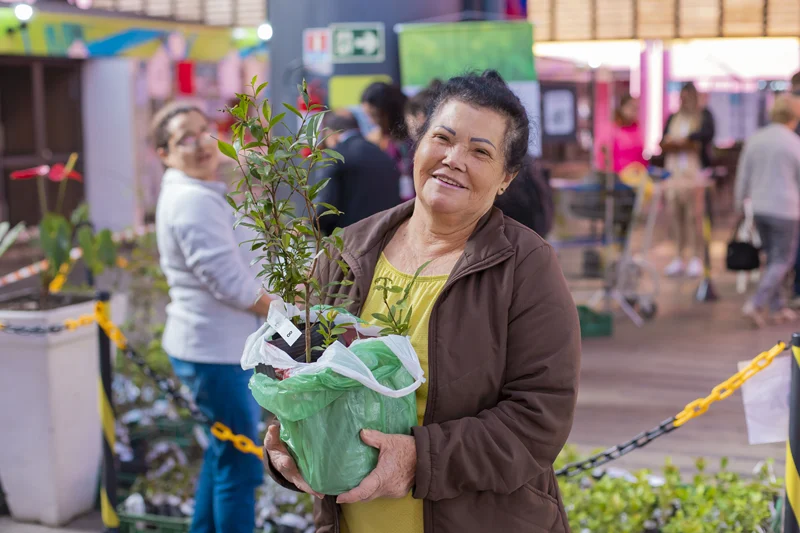 Curitiba entrega 12 mil mudas para ampliar arborização urbana na primavera