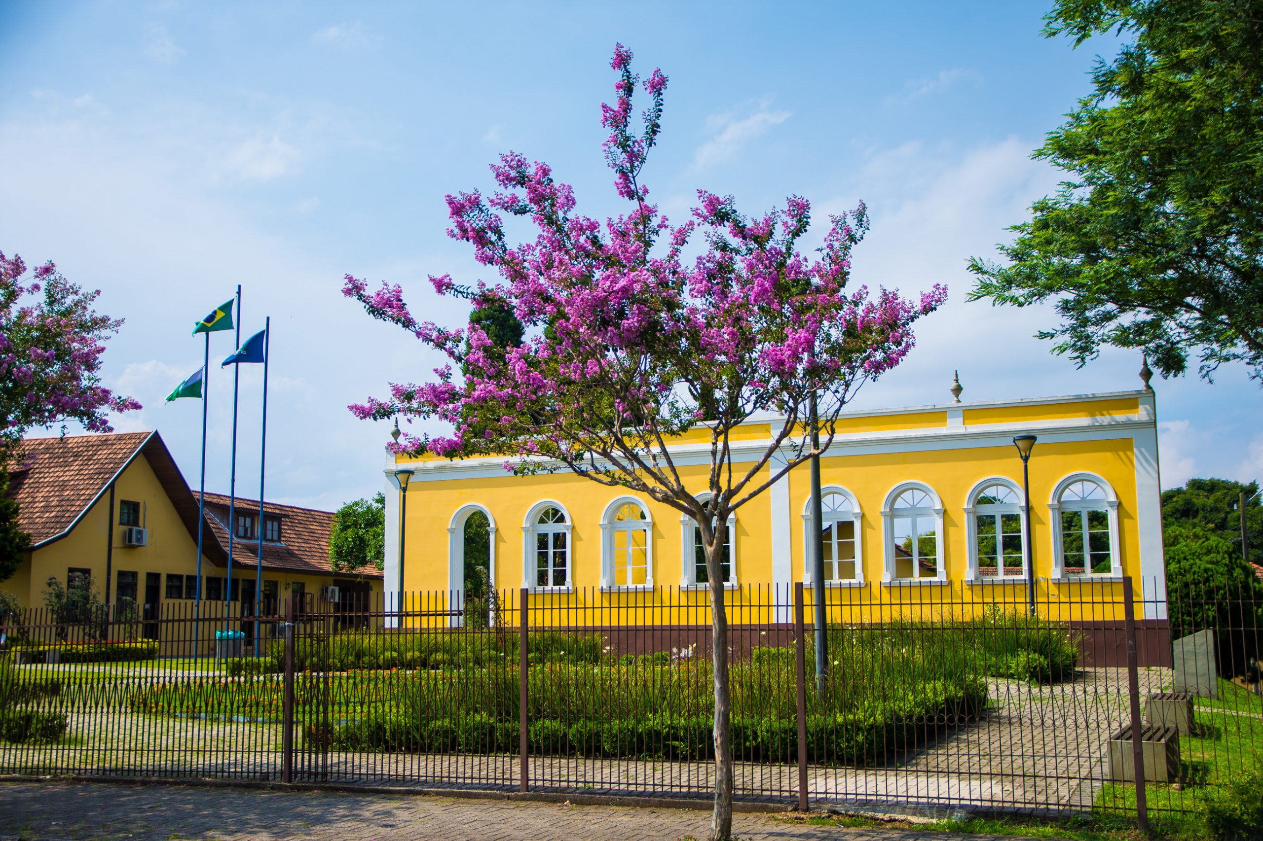 São José dos Pinhais lança REFIS 2026 para regularização fiscal