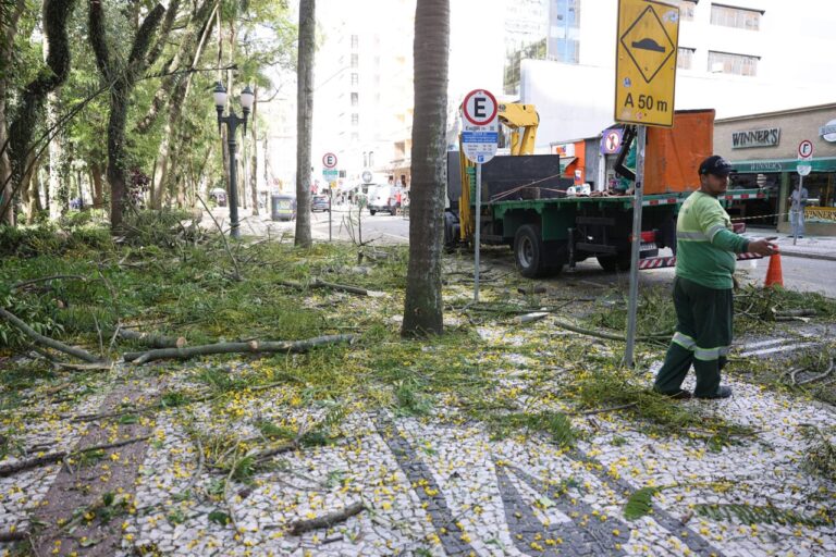 Feiras na Praça Osório são suspensas até fim do El Niño em Curitiba