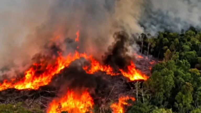 Governo amplia envio de aviões para combate a incêndios no Amazonas